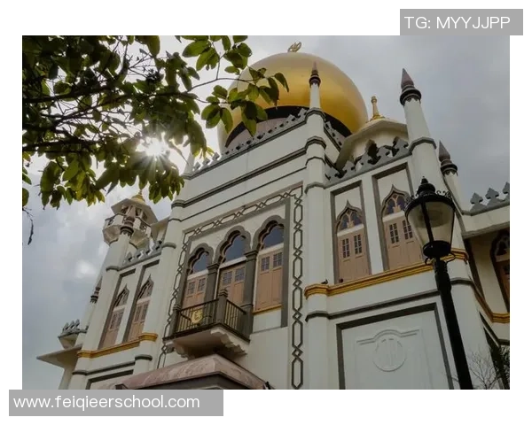 探索阿拉巴的魅力与文化深度体验之旅，感受独特风情与历史韵味