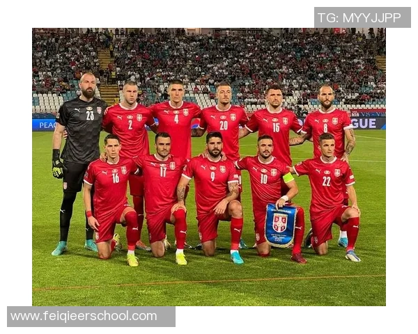 爱尔兰与赛尔维亚足球对决解析期待精彩赛事与球员表现 爱尔兰与赛尔维亚足球对决解析期待精彩赛事与球员表现