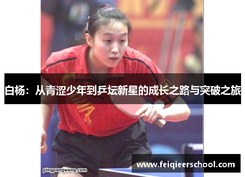 白杨：从青涩少年到乒坛新星的成长之路与突破之旅
