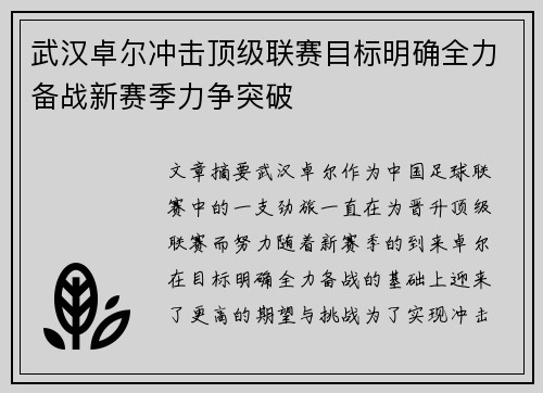 武汉卓尔冲击顶级联赛目标明确全力备战新赛季力争突破