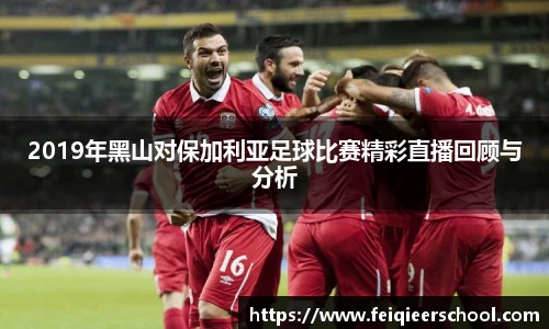 2019年黑山对保加利亚足球比赛精彩直播回顾与分析